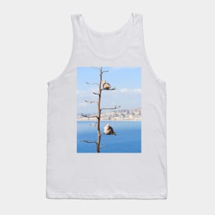 Eurasian Collared Dove Tank Top